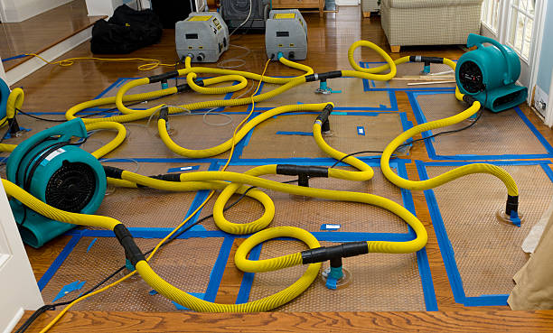 Professional Structural Drying And Dehumidification technician working in Waverly, NY